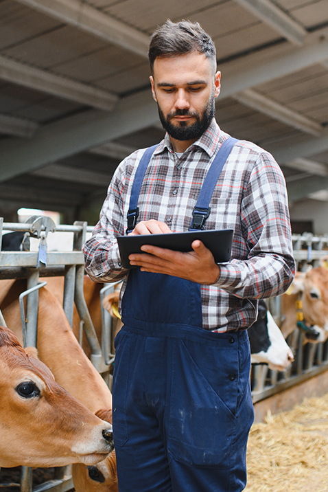 Los pilares de una explotación agrícola exitosa 2