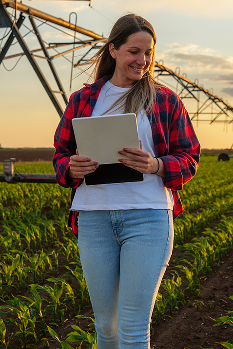 Los pilares de una explotación agrícola exitosa