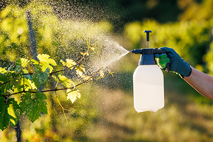 Manejo integrado de plagas